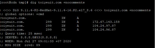dig with no comment param DNS result full
