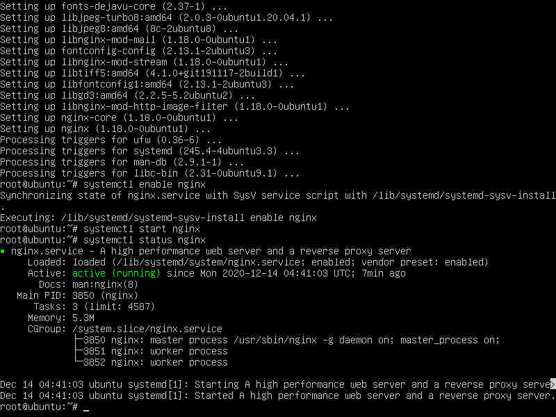 Nginx trong cài đặt LEMP stack trên Ubuntu 20.04