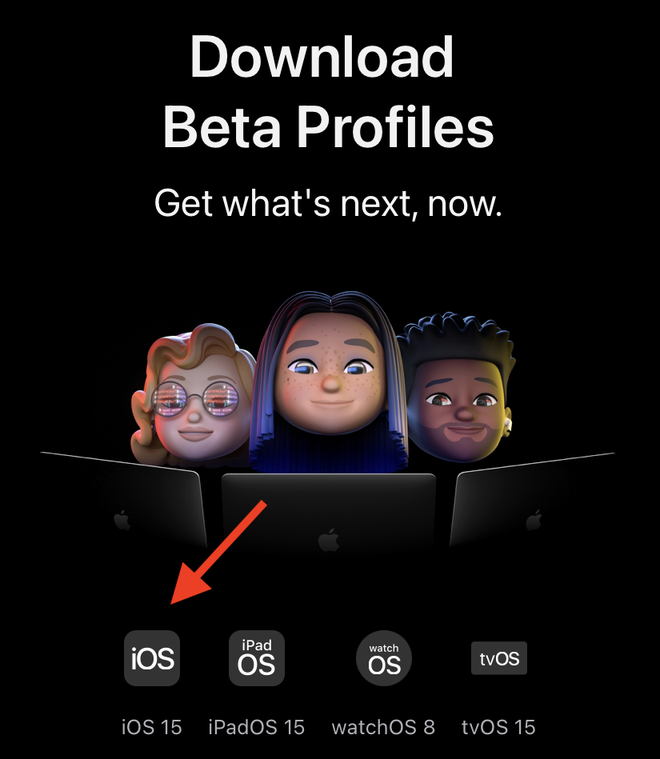 Hướng dẫn nâng cấp lên iOS 15 Beta - Ảnh 2.